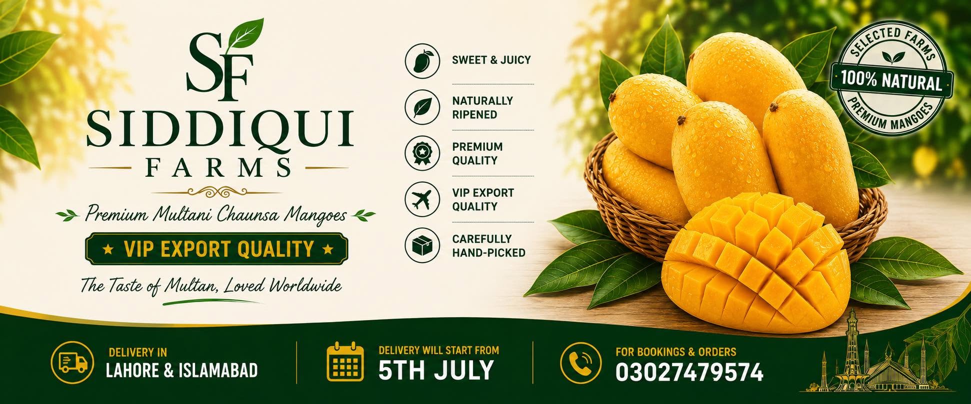 Siddiqui Farms — White Chaunsa Mangoes